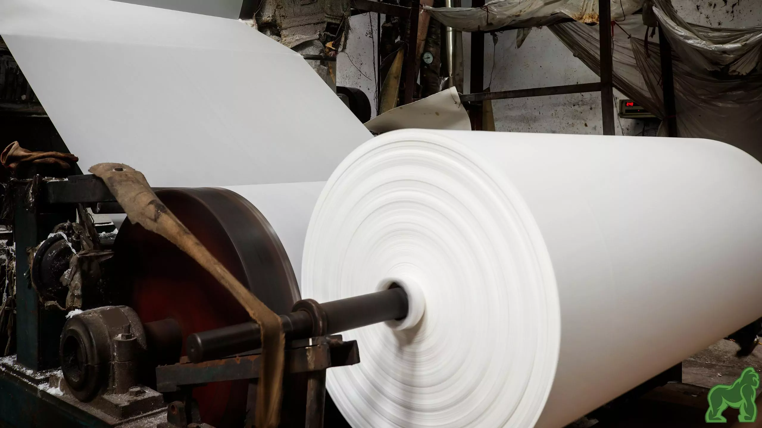 Untitled design (21)